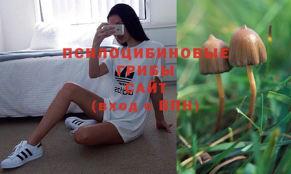 MDMA Premium VHQ Беломорск